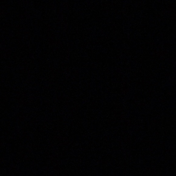 Meet your Posher, Kaylehn - Picture 1 of 1